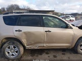 Toyota Rav4 JTMZF33V795005761 снимка