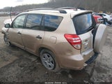 Toyota Rav4 JTMZF33V795005761 снимка