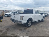 Ford F-150 Xlt 1FTEW1CF2HKC42895 снимка