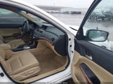 Honda Accord 2.4 Ex-L 1HGCP2F80CA065562 снимка
