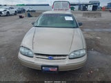 Chevrolet Lumina 2G1WL52M2X9107784 снимка