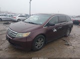 Honda Odyssey Ex-L 5FNRL5H66BB039331 fotografie