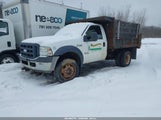 Ford F-450 Chassis Xl/Xlt 1FDXF47P17EB32149 photo
