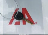 Miniaturka zdjęcia 11