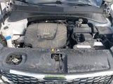 Kia Sorento 3.3L Sxl 5XYPK4A5XKG477588 fotografie
