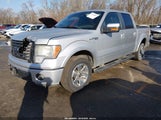 Ford F-150 Fx2 Sport/Harley-Davidson/King Ranch/Lariat/Platinum/Xl/Xlt 1FTFW1CV6AKC01073 fotografie
