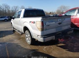 Ford F-150 Fx2 Sport/Harley-Davidson/King Ranch/Lariat/Platinum/Xl/Xlt 1FTFW1CV6AKC01073 fotografie