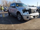 Ford F-150 Fx2 Sport/Harley-Davidson/King Ranch/Lariat/Platinum/Xl/Xlt 1FTFW1CV6AKC01073 fotografie