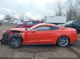 Ford Mustang Ecoboost 1FA6P8TH6G5317158 снимка