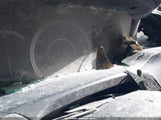 Honda Accord Lx 1HGCR2F34EA081183 снимка