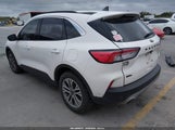 Ford Escape Sel 1FMCU0H6XNUB89245 снимка
