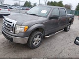 Ford F-150 Xl/Xlt 1FTEW1E8XAFC53642 photo
