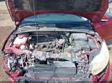 Ford Focus Se 1FADP3F28EL117571 fotografie