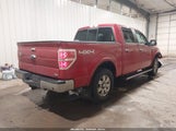 Ford F-150 Fx4/Harley-Davidson/King Ranch/Lariat/Platinum/Xl/Xlt 1FTFW1EV5AFD66361 fotografie