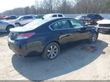 Acura Tl 3.5 19UUA8F51DA012384 снимка