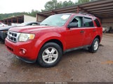Ford Escape Xlt 1FMCU0D72BKB43768 fotografie