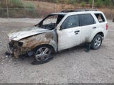 Ford Escape Xlt 1FMCU9DG8AKC62220 снимка