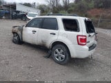 Ford Escape Xlt 1FMCU9DG8AKC62220 снимка