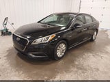 Hyundai Sonata Hybrid Se KMHE24L31HA066541 fotografie