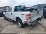 Ford F-150 Xl 1FTFW1EF3DKF00059 снимка