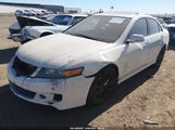 Acura Tsx JH4CL96826C009486 снимка