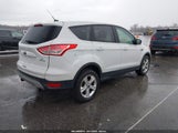 Ford Escape Se 1FMCU0GX6DUB07312 снимка
