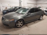 Acura Tl 19UUA66205A007091 снимка