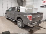 Ford F-150 Fx4/King Ranch/Lariat/Limited/Platinum/Xl/Xlt 1FTFW1ET9DFD41384 fotografie