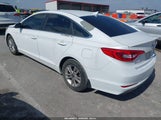 Hyundai Sonata 5NPE24AF4GH418780 снимка