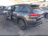 Jeep Grand Cherokee Trailhawk 4X4 1C4RJFLG8KC784798 fotografie
