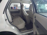 Ford Escape Xlt 1FMCU93769KA51336 снимка