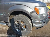 Ford F-150 Xlt 1FTFW1ET7DFA66050 снимка