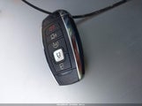 Miniaturka zdjęcia 11