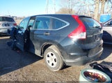 Honda Cr-V Lx 5J6RM4H33EL092884 снимка