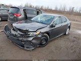 Toyota Camry Le 4T1C11AKXRU210283 photo