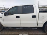 Ford F-150 60Th Anniversary/Fx2/Xl/Xlt 1FTRW12W18FA08954 photo