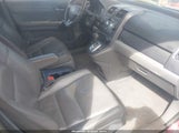 Honda Cr-V Ex-L 5J6RE48718L018349 fotografie