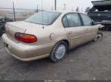 Chevrolet Malibu 1G1ND52J83M691765 снимка