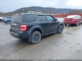 Ford Escape Limited 1FMCU9EG7BKA72067 fotografie