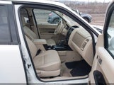 Miniaturka zdjęcia 5