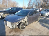Miniaturka zdjęcia 2