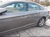 Miniaturka zdjęcia 6