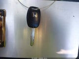 Miniaturka zdjęcia 11