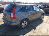 Honda Cr-V Ex-L 5J6RE4H70AL029459 photo