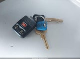 Miniaturka zdjęcia 11