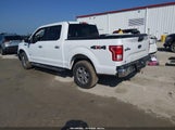 Ford F-150 Xlt 1FTEW1EP7HKC69208 снимка