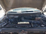 Ford F-150 Fx4/Harley-Davidson/King Ranch/Lariat/Platinum/Xl/Xlt 1FTFW1EV7AKE28639 photo