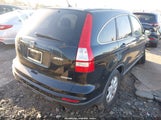 Honda Cr-V Se 5J6RE4H42BL070182 снимка