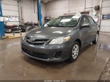 Toyota Corolla Le 2T1BU4EE5BC726275 fotografie