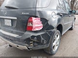 Miniaturka zdjęcia 6